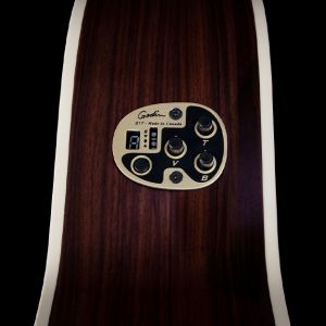 Godin Collection QIT