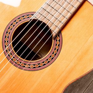 Alhambra Iberia Ziricote Guitarra Clásica