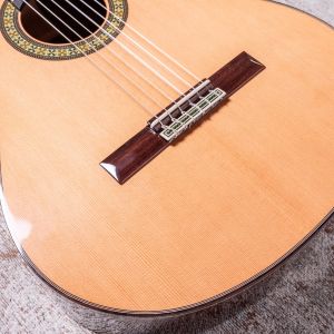 Alhambra 11P Guitarra Clásica