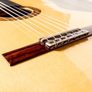 Alhambra 10Fc Guitarra Flamenca