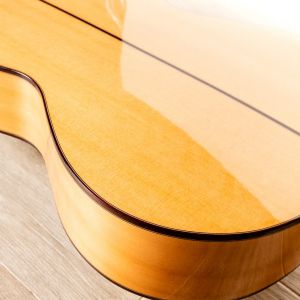 Alhambra 10Fc Guitarra Flamenca