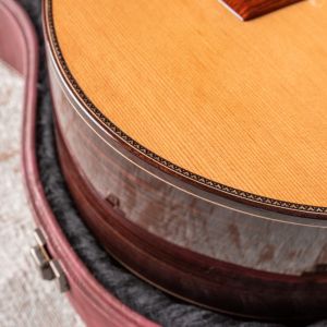 Alhambra Linea Profesional LP