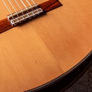 Alhambra Linea Profesional LP