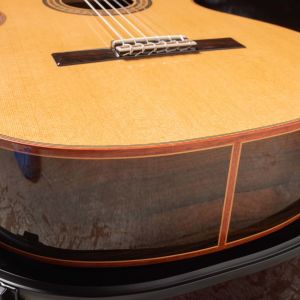 Alhambra Luthier Aniversario