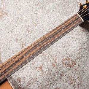 Alhambra AJ-CR E9 Edición Especial