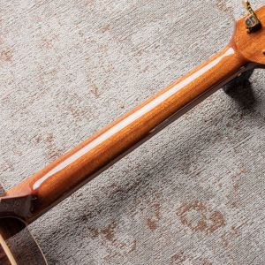 Alhambra AJ-CR E9 Edición Especial