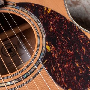 Alhambra AA-CSp E9 Edición Especial