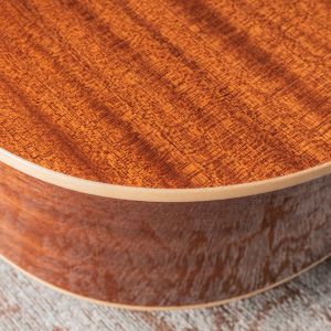 Alhambra AA-CSp E9 Edición Especial