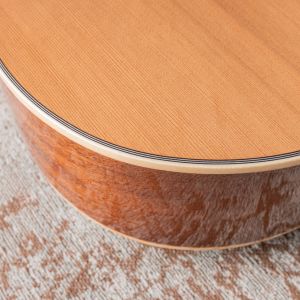 Alhambra AA-CSp E9 Edición Especial