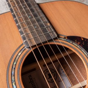 Alhambra AA-CSp E9 Edición Especial