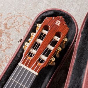 Alhambra Premiere Pro Madagascar Laca Nitro  #1917