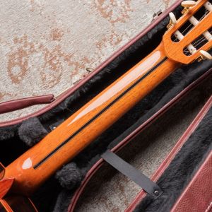 Alhambra Premiere Pro Madagascar Laca Nitro  #1917