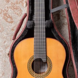 Alhambra Premiere Pro Madagascar Laca Nitro  #1917