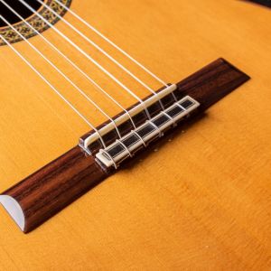 Alhambra Premiere Pro Madagascar Laca Nitro  #1917