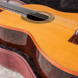 Alhambra Premiere Pro Madagascar Laca Nitro  #1917