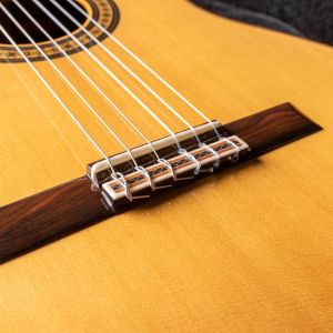 Alhambra Luthier Ziricote 50 Aniversario #1817