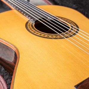 Alhambra Luthier Ziricote 50 Aniversario #1817