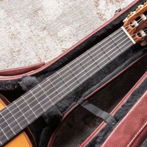 Alhambra Luthier Ziricote 50 Aniversario #1817