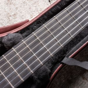 Alhambra Luthier Ziricote 50 Aniversario #1912