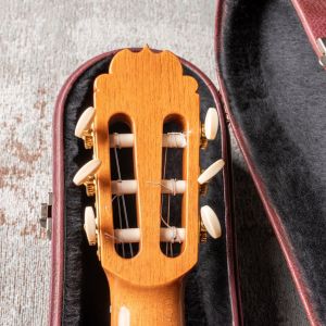 Alhambra Luthier Ziricote 50 Aniversario #1912