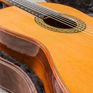 Alhambra Vilaplana Premier Pro Madagascar Limited Edition #1891