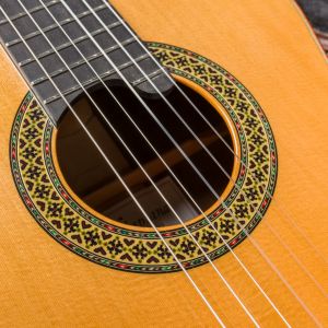 Alhambra Vilaplana Premier Pro Madagascar Limited Edition #1891