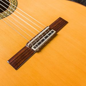 Alhambra Vilaplana Premier Pro Madagascar Edición Limitada #1895