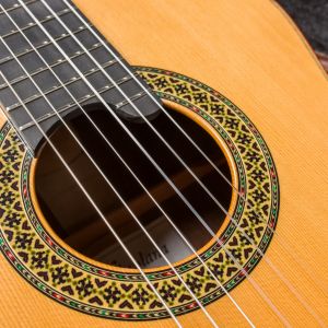 Alhambra Vilaplana Premier Pro Madagascar Edición Limitada #1895