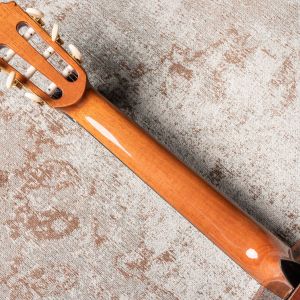 Alhambra Vilaplana Premier Pro Madagascar Edición Limitada #2645