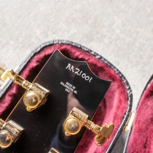 Heritage Standard Eagle Classic Hollow Original Sunburst