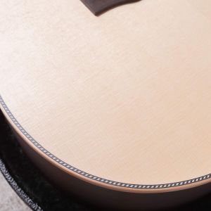 Larrivee OM-40RE Rosewood Shadow Nanoflex & Moonwood