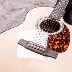 Larrivee C-10E Vine Headstock, Moonwood, LR Baggs Anthem