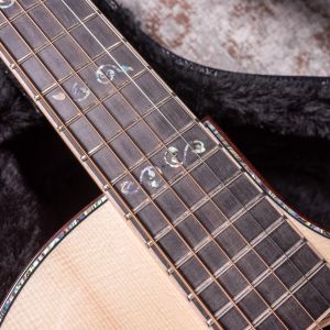 Larrivee C-10E Vine Headstock, Moonwood, LR Baggs Anthem