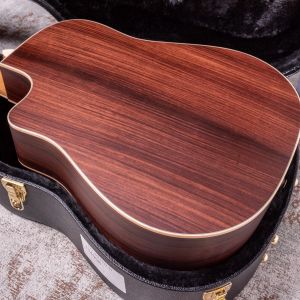 Larrivée DV-40RE Rosewood with Stage Pro Element