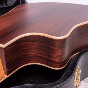 Larrivée DV-40RE Rosewood with Stage Pro Element