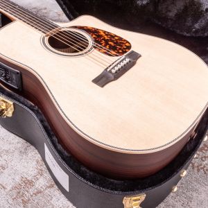 Larrivée DV-40RE Rosewood with Stage Pro Element