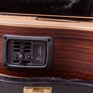 Larrivée DV-40RE Rosewood with Stage Pro Element