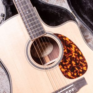 Larrivée DV-40RE Rosewood with Stage Pro Element