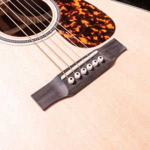 Larrivée DV-40RE Rosewood with Stage Pro Element