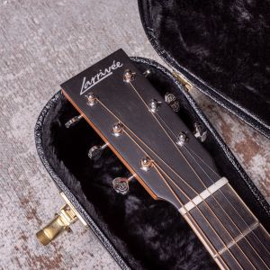 Larrivée DV-40RE Rosewood with Stage Pro Element