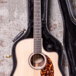 Larrivée DV-40RE Rosewood with Stage Pro Element
