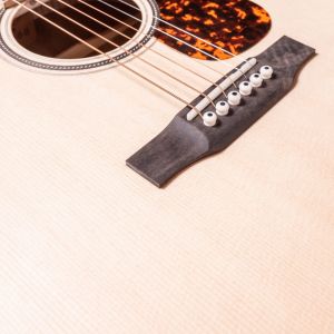 Larrivée OM-40 Mahogany with Stage Pro Element