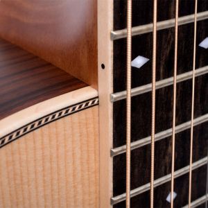 Larrivée OOO-40R Triple-O/Auditorium, Rosewood