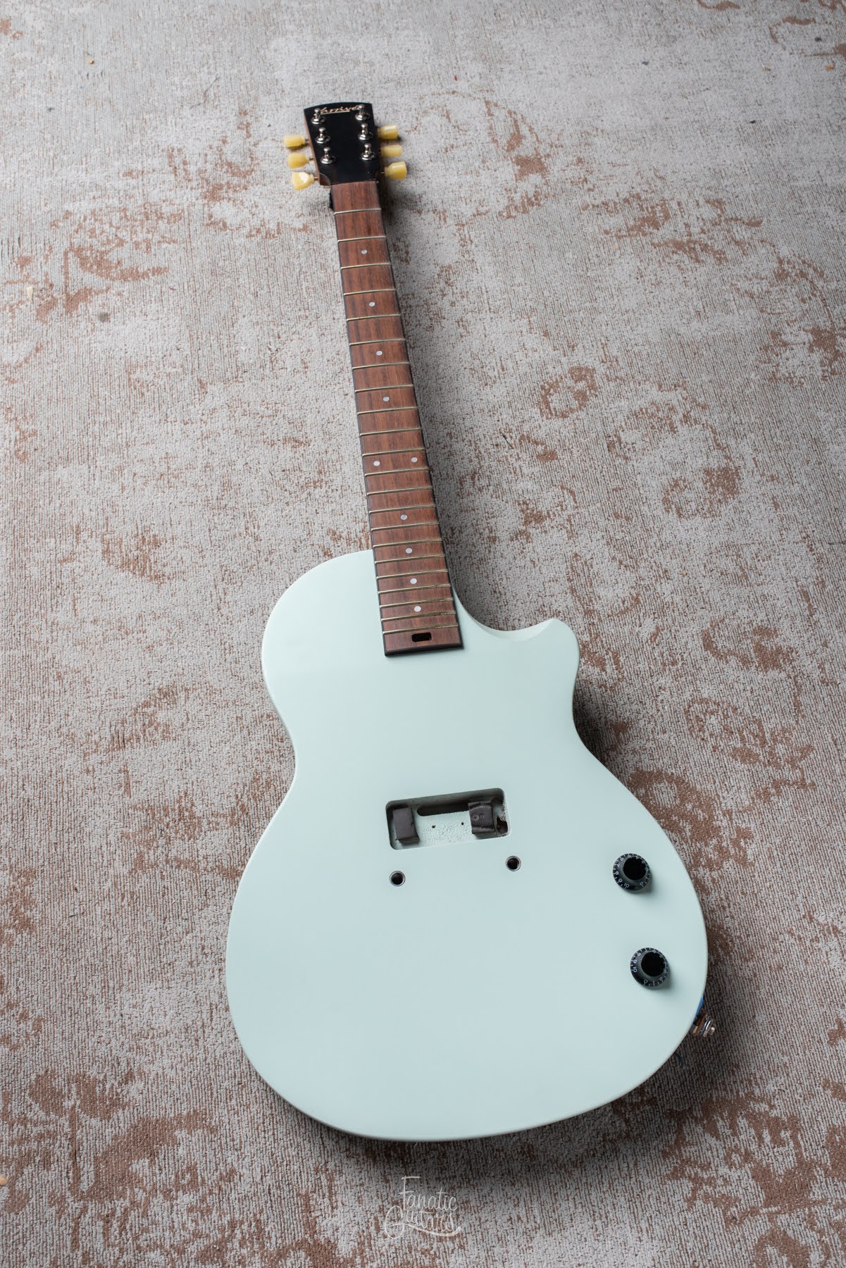 Larrivée RS2 - Guitar Project #123003