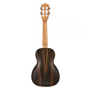 Leho Ebano Concierto LHUC-ALEB  Con Funda