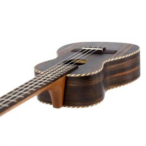 Leho Ebano Concierto LHUC-ALEB  Con Funda