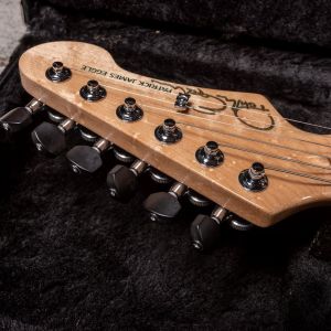 Patrick James Eggle 96 Drop Top Double Top, Green Burst