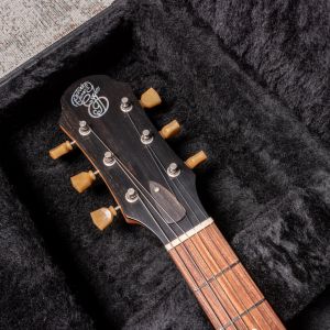 Patrick James Eggle Macon Special - Tobacco Burst