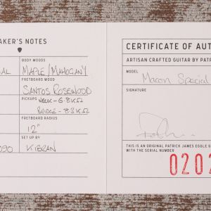 Patrick James Eggle Macon Special - Tobacco Burst