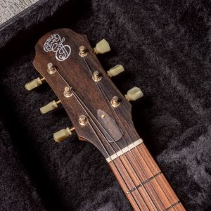 Patrick James Eggle Macon Special - Island Blue Burst - Aged Gold